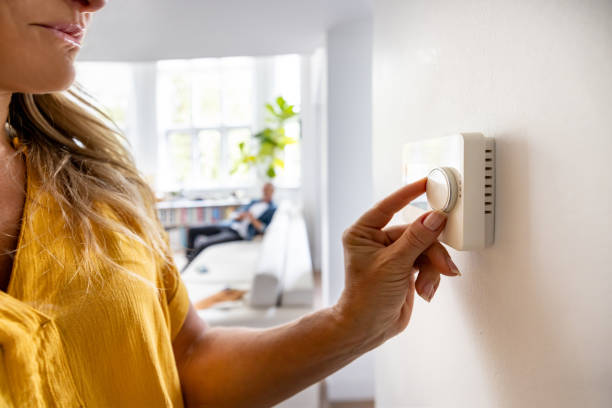 Best HVAC maintenance near me  in Pamplico, SC